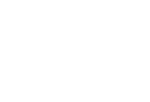 NEVO_Logoschrift-weiß